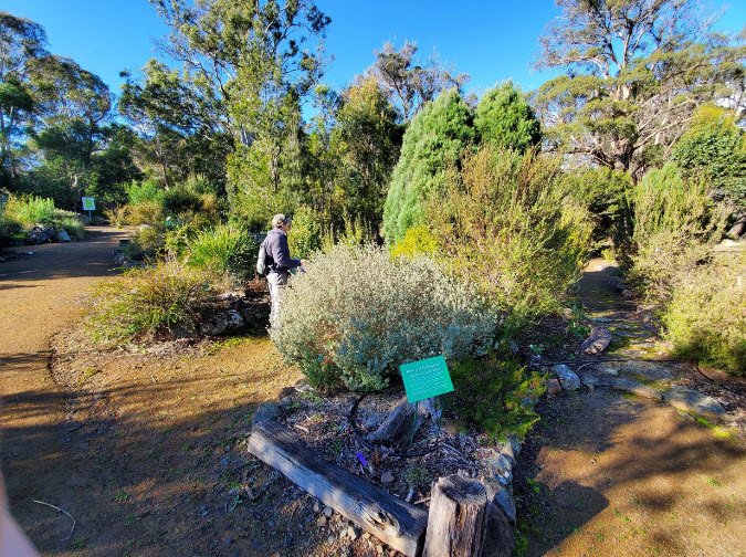 Tasmanian Bushland Garden, Buckland, Tasmania, Australia, Australia
